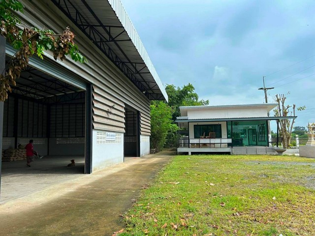 ขายและให้เช่าออฟฟิศโกดังพนัสชลบุรี บนเนื้อที่ 1-2-19  ไร่ ผังสีเหลือง