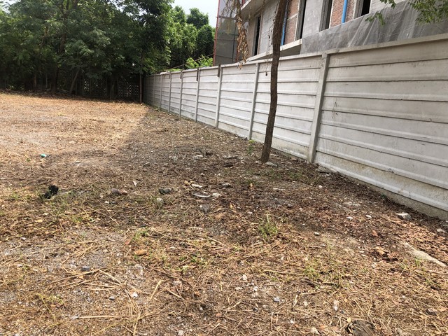 ขายด่วน ที่ดิน ขนาด 188 ตารางวา หน้ากว้าง 26 เมตร ติดถนนซอย รามอินทรา 14 มัยลาภ แยก 2