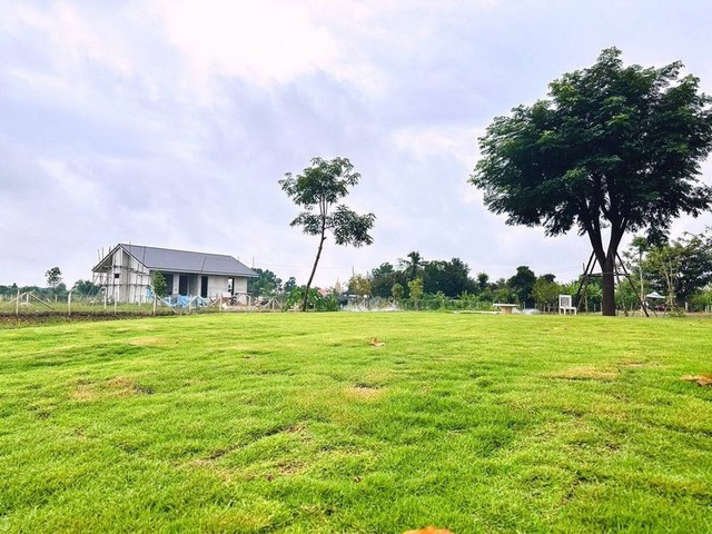 ที่ดินเปล่าแบ่งขาย สไตล์โคกหนองนา แม่ปูคา สันกำแพง