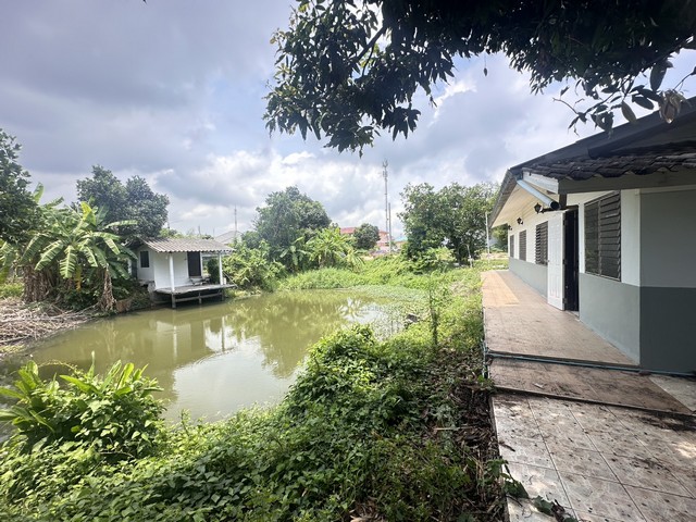 ให้เช่า พื้นที่ 2 ไร่ถมแล้ว พร้อมบ้าน 1 หลัง ครัว 1 หลัง บ้านเล็กริมนำ้1 มี  บ่อปลา ทำรั้ว เรียบร้อย จอดรถได้10-20คัน