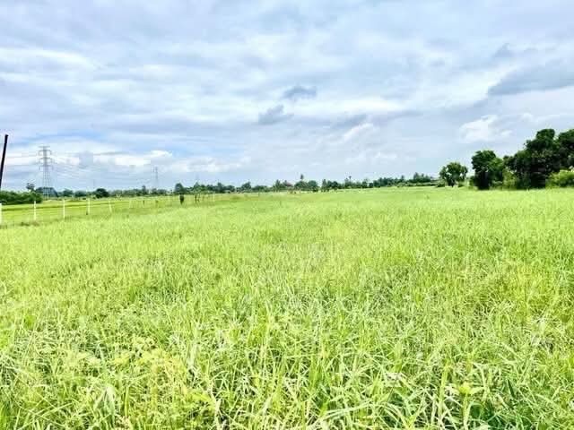 เจ้าของขายเอง  ขายที่ดิน 4 ไร่   ตำบลบ่อเงิน อำเภอลาดหลุมแก้ว จ.ปทุมธานี