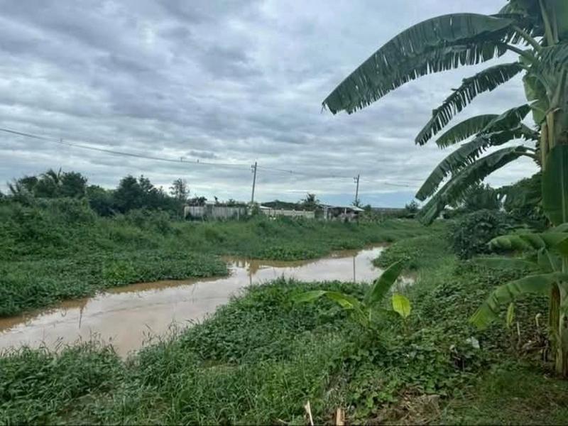 โซนสารภี ขายเพียง 1.55 ล้าน เนื้อที่ 70 ตรว. ขายพร้อมสิ่งปลูกสร้าง หน้า #ติดถนน หลัง #ติดน้ำ สามารถทำ #คาเฟ่ #โฮมสเตย์ ได้ ใกล้เมือง