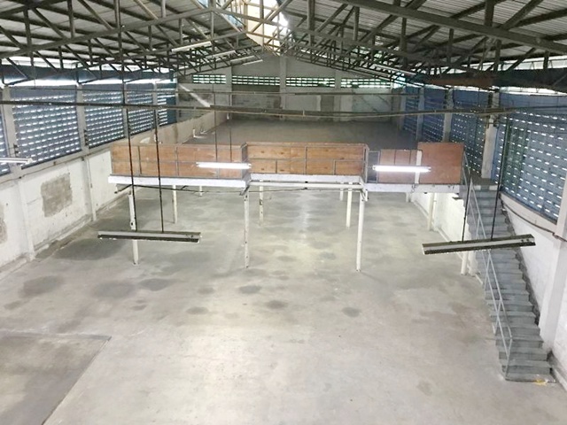 ซ.เพชรเกษม 91-97 เช่า-ขายโกดัง โรงงาน 3ชั้น 230 ตร.วา.905 ตร.ม.Makroอ้อมน้อย 700ม. ตรม.ละ 50บาท  รร.ศรีสำราญ 1.4 กม.