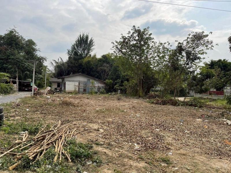 ขายที่ดินเปล่าตรว.ละ 25,000 บาท 112 ตรว. #โซนท่าศาลา #อำเภอเมือง #น้ำไม่ท่วม เดินทางสะดวก เข้า-ออกได้หลายทาง