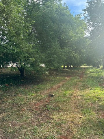 ขายที่ดิน 18-2-15 ไร่ บนถนนทางขึ้นเขาใหญ่  ถนนธนะรัชต์  ต.หมูสี อ.ปากช่อง จ.นครราชสีมา