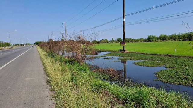 ขายที่ดินสวย 2-2-73 ไร่ ติดถนนเลี่ยงเมืองขอนแก่น ใกล้โรงเรียนขอนแก่นวิทยายน2   ZE793