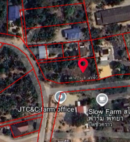 ขายที่ดิน  1-0-36  ไร่  ถนนสายกระทิงลาย-ปลวกเกตุ   บางละมุง ชลบุรี   ZT648