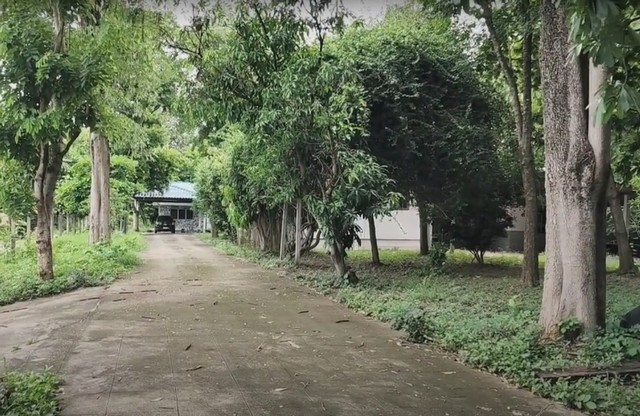 ขาย ที่ดิน บ้านพัก ห้องแถว 4 ห้อง ต้นสัก เนื้อที่ 3-3-89 ไร่ ถนน สุรนารายณ์ ตรงข้าม ร.ร.บุญเหลือ โคกสูง โคราช เหมาะสำหรับ พักอาศัย ลงทุน