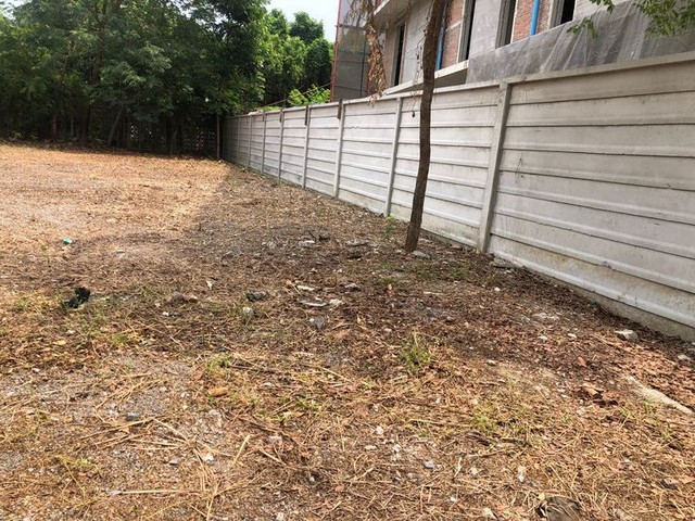 ขายถูกที่ดินสี่เหลี่ยมผืนผ้า ติดถนนซอย รามอินทรา 14 แยก 2 ห่างจากปากซอย 100 เมตร เนื้อที่ 188 ตร.ว. ใกล้MRT สถานีมัยลาภ (รถไฟฟ้าสายสีชมพู)