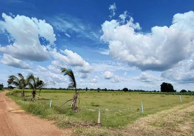 ขายที่ดินสวยราคาถูกพนัสนิคม​ ผังสีเหลือง .พนัสนิคม​ จ.ชลบุรี บนเนื้อที่ ​16 ไร่​ 3​ งาน​ 8​  ตรว