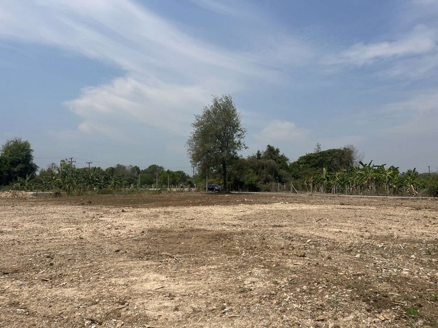 ที่ดินแปลงสวยพร้อมปลูกบ้านได้เลยแบ่งขายหรือขายยกแปลงไปทำบ้านขายได้