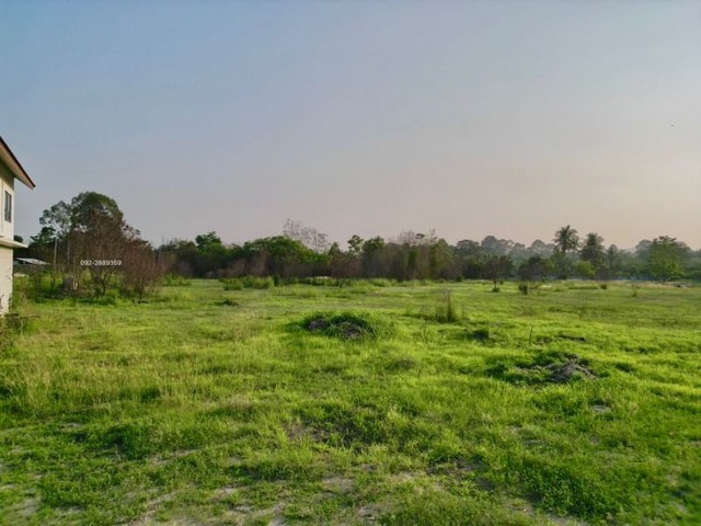 ขายที่ดิน บ้านห้วยกรุ บางพระ ติดถนนคู่ขนานบายพาสขาเข้ากรุงเทพ TP-L1177