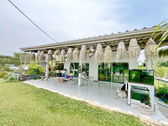 ขายบ้านพร้อมกิจการคาเฟ่ เกาะจันทร์ ชลบุรี บนพื้นที่ กว่า 1 ไร่ ติดถนนใหญ่ ใกล้โรงพยาบาลเกาะจันทร์