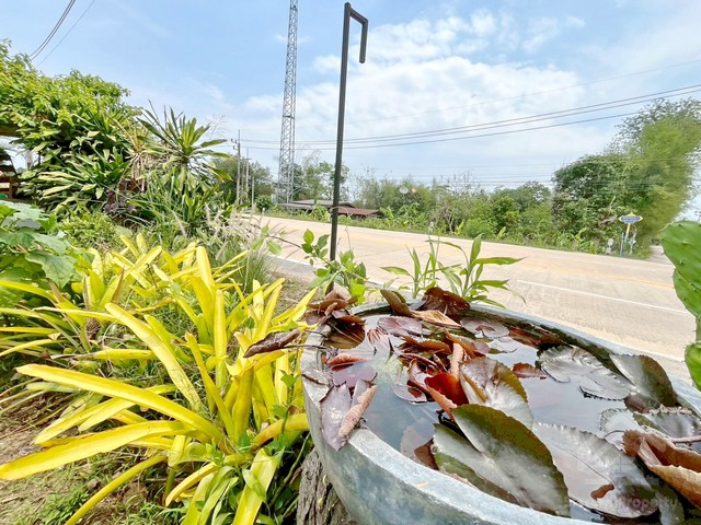 ขายบ้านพร้อมกิจการคาเฟ่ เกาะจันทร์ ชลบุรี บนพื้นที่ กว่า 1 ไร่ ติดถนนใหญ่ ใกล้โรงพยาบาลเกาะจันทร์