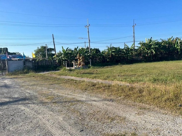 ขายโรงงานพร้อมที่ดิน พนัสนิคม ชลบุรี พื้นที่ 18-2-87 ไร่ (พื้นที่สีเหลือง) พื้นที่ภายในโกดัง 1,600 ตรม