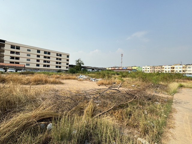 ขายที่เปล่าติดถนนเอกชัยบ่อดิน ทำเลทอง แหล่งเศรษฐกิจ ใกล้โรงเรียนทานตะวันไตรภาษา