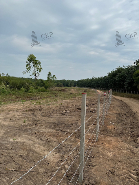 ขาย ที่ดินเปล่ารวมแปลง 169 ไร่ มีรั้วรอบที่ดิน ต.วอแก้ว อ.ห้างฉัตร จ.ลำปาง