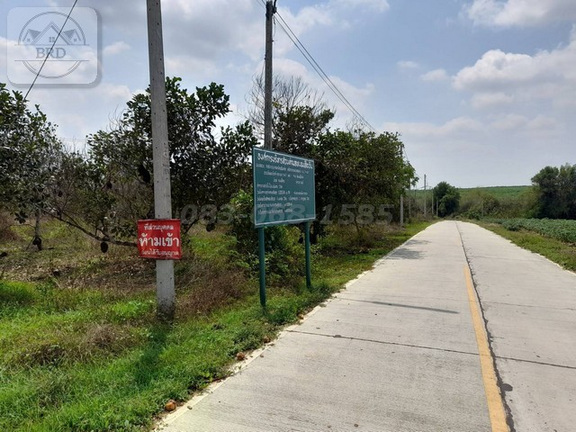 ขายที่ดินสีเหลือง สร้างโรงงาน สร้างโกดัง หนองใหญ่ เนื้อที่ 79-2-34  ไร่ ขายไร่ละ 1.2 ล้าน หนองใหญ่ ชลบุรี