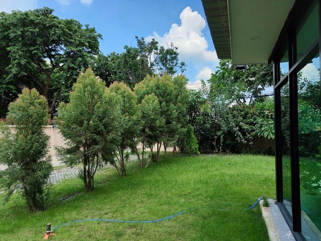 ให้เช่าบ้านเดี่ยว 2 ชั้น 180 ตรว. ย่านลาดพร้าว 130 รามคำแหง 81 ตกแต่งพร้อมเฟอร์นิเจอร์