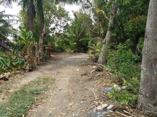 ID :  DSL-244 ประกาศขาย พื้นที่ดิน ที่ดินติดคลองหลวงแพ่ง ลำต้อยติ่ง หนองจอก  10000000 บาท. ใกล้ อยู่ติดคลองหลวงแพ่ง, อยู่ตรงข้ามสนามกอล์ฟ ฟินิกซ์ โกลด์ กอล์ฟ แบงค็อก และห่างท่าอากาศยานสุวรรณภูมิ ประมาณ 30 กม. ราคานี้คุ้มมาก