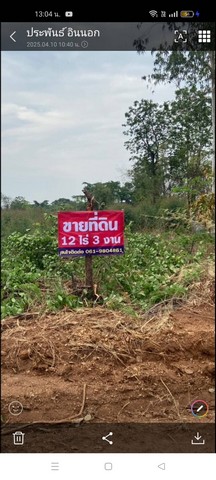 ขายที่ดิน อำเภอคอนสวรรค์ จังหวัดชัยภูมิ เนื้อที่ 12 ไร่ 3 งาน 12 ตารางวา