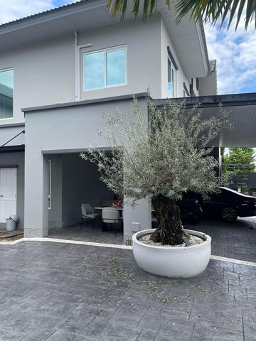 ให้เช่าบ้านเดี่ยวหลังใหญ่สุดหรู 2 ชั้น โครงการ ลัดดารมย์ อิลิแกนซ์ ศาลากลาง