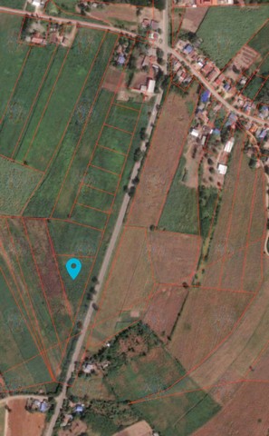 ขายที่ดิน 4 ไร่ ตำบลวังม่วง อำเภอวังม่วง จังหวัดสระบุรี เหมาะปลูกบ้าน พร้อมสวน