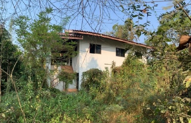 ขายบ้านเดี่ยวมือสอง       อำเภอดอยสะเก็ด  เชียงใหม่