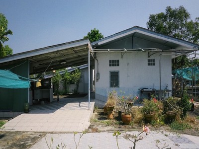 ขายด่วน! บ้านสวน 2 ไร่ ลำลูกกา คลองสิบ ใกล้กรุงเทพฯ ซื้อมาทำบ้านพักตากอากาศ แต่ไม่มีเวลาไปอยู่ แปลงสวย บรรยากาศรีสอร์ต ที่ดินหน้ากว้าง