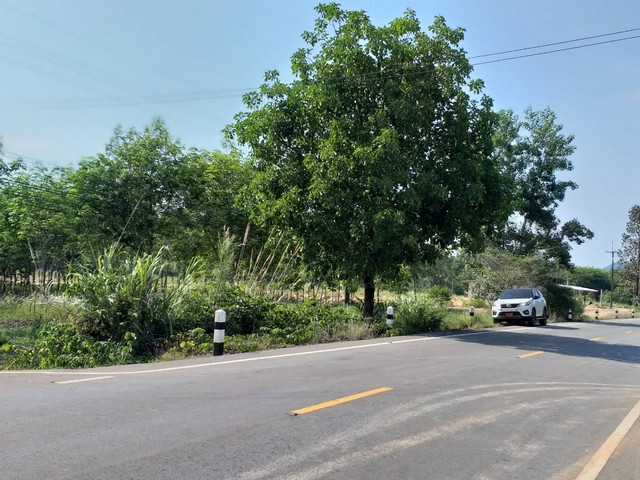 ที่ดินแปลงมุม 8 ไร่ ติดถนน 2 ด้าน ทำเลศักยภาพ อ.ท่าใหม่ จ.จันทบุรี  ราคาน่าลงทุน