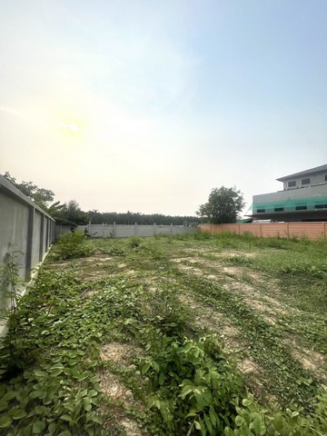 ขายที่ดินแปลงสวย พุทธมณฑลสาย2 ทวีวัฒนา-กาญจนาภิเษก ขนาด 140 ตรว