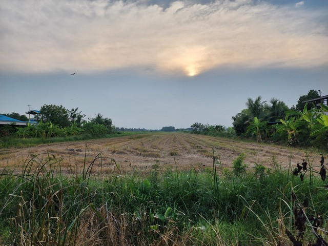 ขายด่วน ที่ดินคลองสี่ 16-1-96 ไร่ ติดถนนเลียบคลองสี่ ซอยคลองสี่ (ฝั่งตะวันตก)28 คลองหลวง ปทุมธานี