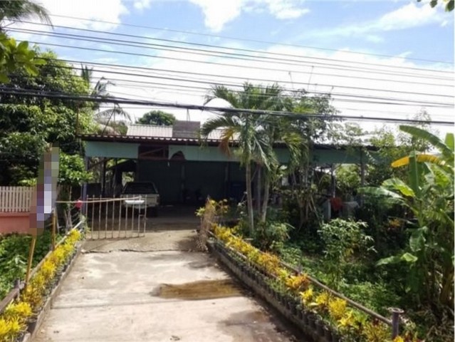 ขายบ้านเดี่ยวมือสองแม่แตง  โครงการบ้านผึ้ง เชียงใหม่