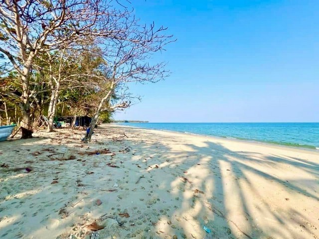 ขายด่วน ที่ดิน 2 งาน 3 ตร.ว. ห่างทะเล 200 เมตร  ต.นาหูกวาง อ.ทับสะแก จ.ประจวบคีรีขันธ์