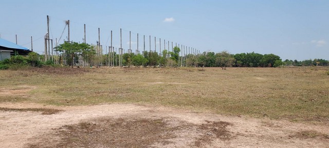 ขายที่ดินสวย 16-1-04 ไร่ ข้างสนามกล์อฟสามพร้าว  ทางเข้าออกถนน2ด้าน สามพร้าว เมืองอุดรธานี   ZE823