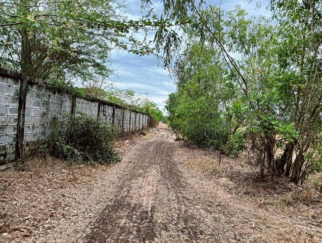 ขายที่ดินสวย  13-2-93 ไร่ ถมแล้วเต็มพื้นที่ ข้างรั้วกองบิน23  เมืองอุดรธานี  ZE820