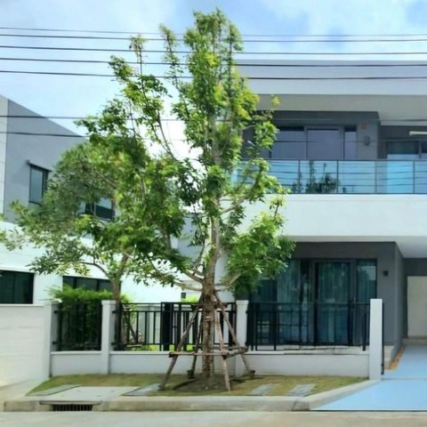 ให้เช่า Centro Bangna เซ็นโทร บางนา บ้านว่างพร้อมอยู่  4 ห้องนอน  5 ห้องน้ำ  มีห้องแม่บ้าน