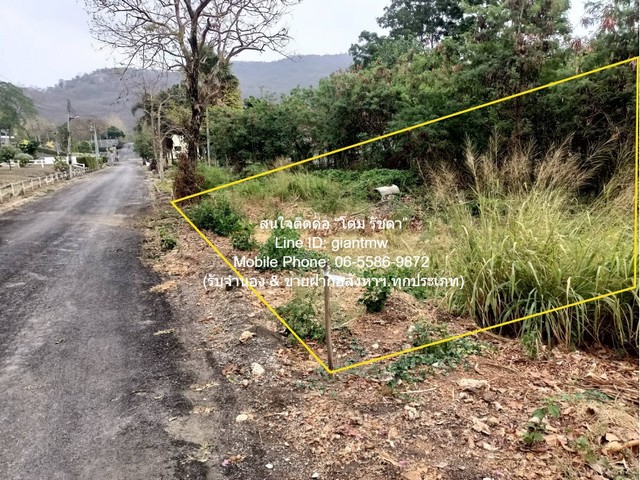 ขายที่ดินในโครงการจัดสรร ปากช่อง เขาใหญ่ (ทางไปวังน้ำเขียว) 100 ตร.ว. ราคา 1.6 ล้านบาท (โอนฟรี)