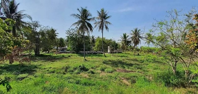 ที่ดิน ที่ดินติดทะเลบ่อนอก ประจวบคีรีขันธ์  area 7 RAI 0 ngan 99 ตร.วา 86970000 บ. ใกล้ ที่ดินติดถนน, ติดคลอง และติดทะเล โดยตั้งอยู่ห่างจากสถานีรถไฟกุยบุรี 1.2 กม.  ราคาดีที่สุด ประจวบคีรีขันธ์