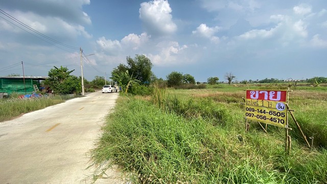 ขายที่ดิน 1ไร่ ซอยพัฒนา เทศบาล 19 ถ.รังสิต-นครนายก   ZJ164