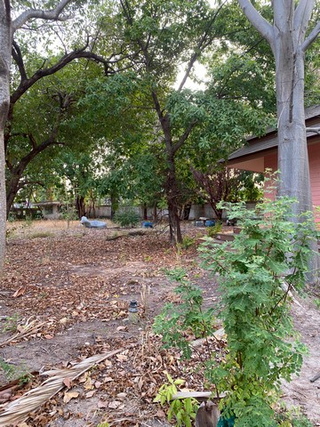 ขายที่ดินพร้อมสิ่งปลูกสร้าง เนื้อที่ 1-2-83 ไร่ ทำเลส่วนตัว  ติดถนนเฉลิมพระเกียรติ ร.9  ประเวศ  ZY241