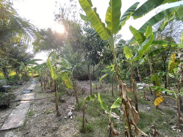 ขายที่ดิน 400 ตรว.ย่านนครปฐม ศาลายาพุทธมณฑล ติดถนน 4 เลน ใกล้ ร.ร.พระตำหนักสวนกุหลาบ