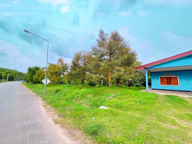 ขายบ้านพร้อมสวนทุเรียน จ.ระยอง 40  ต้น  เนื้อที่   1ไร่  60 ตรว โฉนดครุฑแดง สวนทุเรียน ติดถนนราดยาง