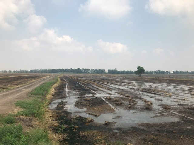 ขายที่นา 15-0-0 ไร่  ทำเลดีมีถนนสาธารณะตัดผ่าน  ต.บางซ้ายใน อ.บางซ้าย จ.พระนครศรีอยุธยา