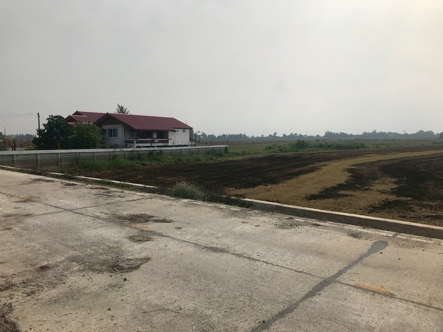 ขายที่นา เนื้อที่30ไร่  ทำเลดีมีถนนสาธารณะตัดผ่าน ต.เต่าเล่า อ.บางซ้าย จ.พระนครศรีอยุธยา