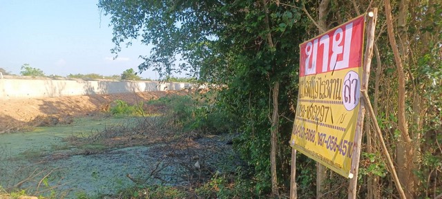 ขายที่นาสวย 9-3-03 ไร่  ติดคลองชนประทาน  ใกล้วัดป่าเรไร  บ้านกร่าง  เมืองพิษณุโลก  ZK436