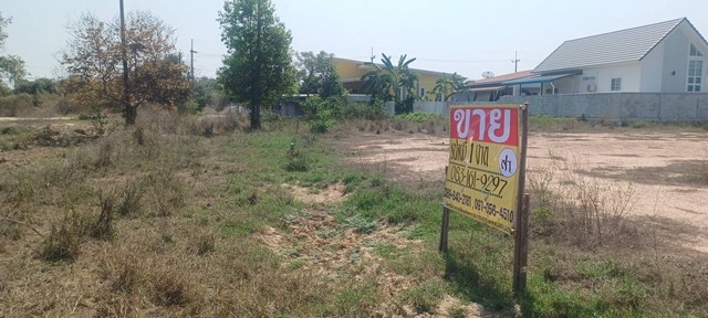 ขายที่ดิน 1 งาน  ถมแล้ว พร้อมสร้างบ้านอาศัย บ้านไร่บึงถ้ง  ต.ดอนทอง อ.เมือง จ.พิษณุโลก  ZK429