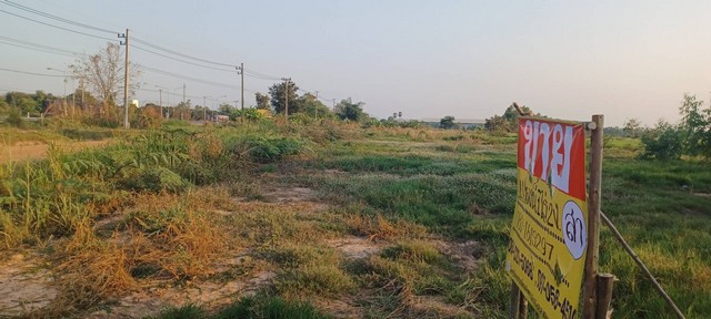 ขายที่ดินทำเลดี 1-2-0 ไร่  ติดถนนหลวง  พิษณุโลก - อุตรดิตถ์  บ้านคลองช้าง  วัดโบสถ์   พิษณุโลก   ZK434