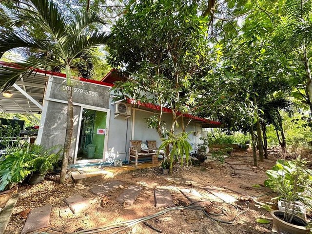 ขายด่วน! ที่ดินพร้อมกิจการคาเฟ่ ร้านกาแฟ สัตหีบ-สุขุมวิท 23 TP-L1181