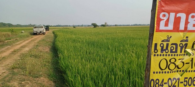 ขายที่นาราคาถูก ใกล้ชุมชน   6-1-03 ไร่  บ้านกร่าง ต.บ้านกร่าง อ.เมือง จ.พิษณุโลก  ZK438